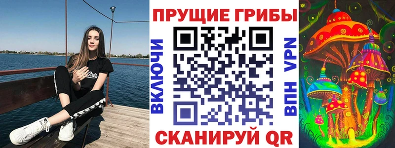 Купить закладки  Бабаево  Псилоцибиновые грибы Magic Shrooms 